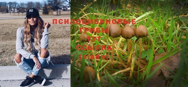 соль ск Куйбышев