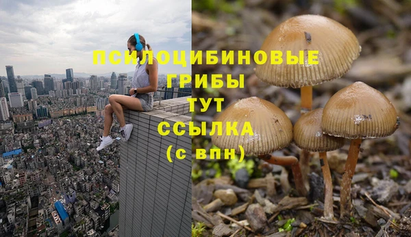 соль ск Куйбышев