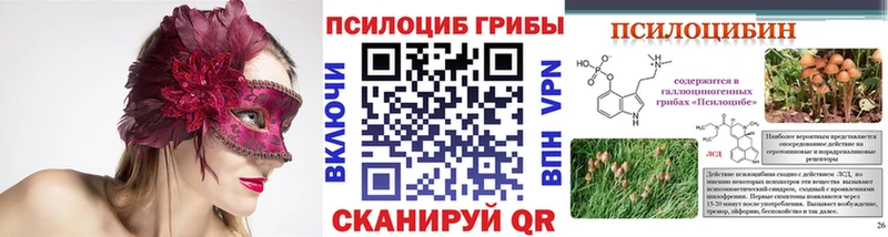 Галлюциногенные грибы мухоморы  Дрезна 